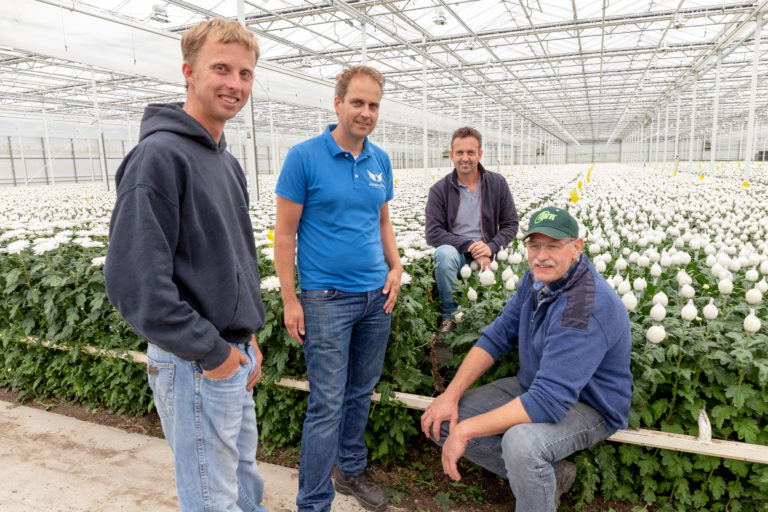 Afbeelding Klein beestje, grote problemen