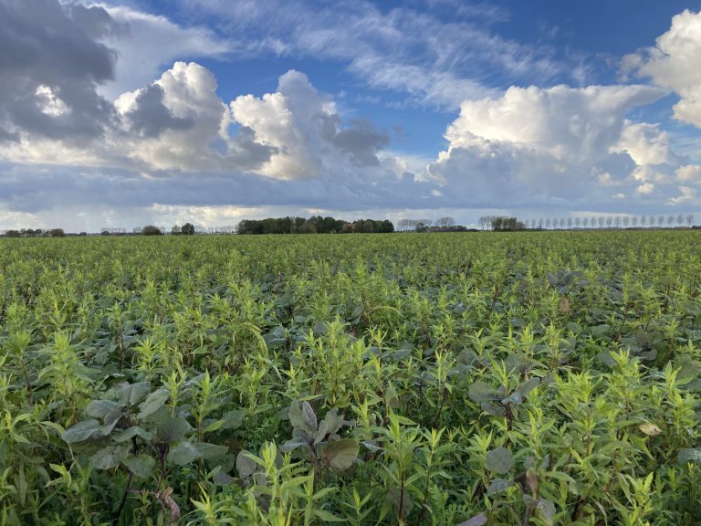 Afbeelding Akkerbouwavonden 2025