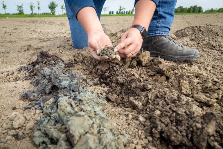 Afbeelding Akkerbouwavond Zuid-Beijerland