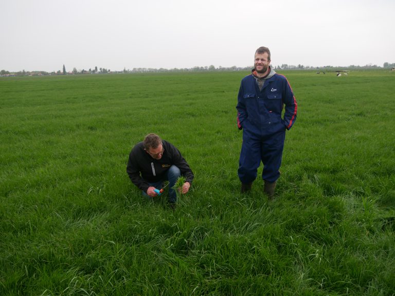 Afbeelding Smakelijk gras, betere opname