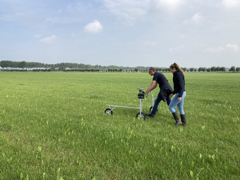 Afbeelding Beweidingsproef op zand: verrassende meeropname