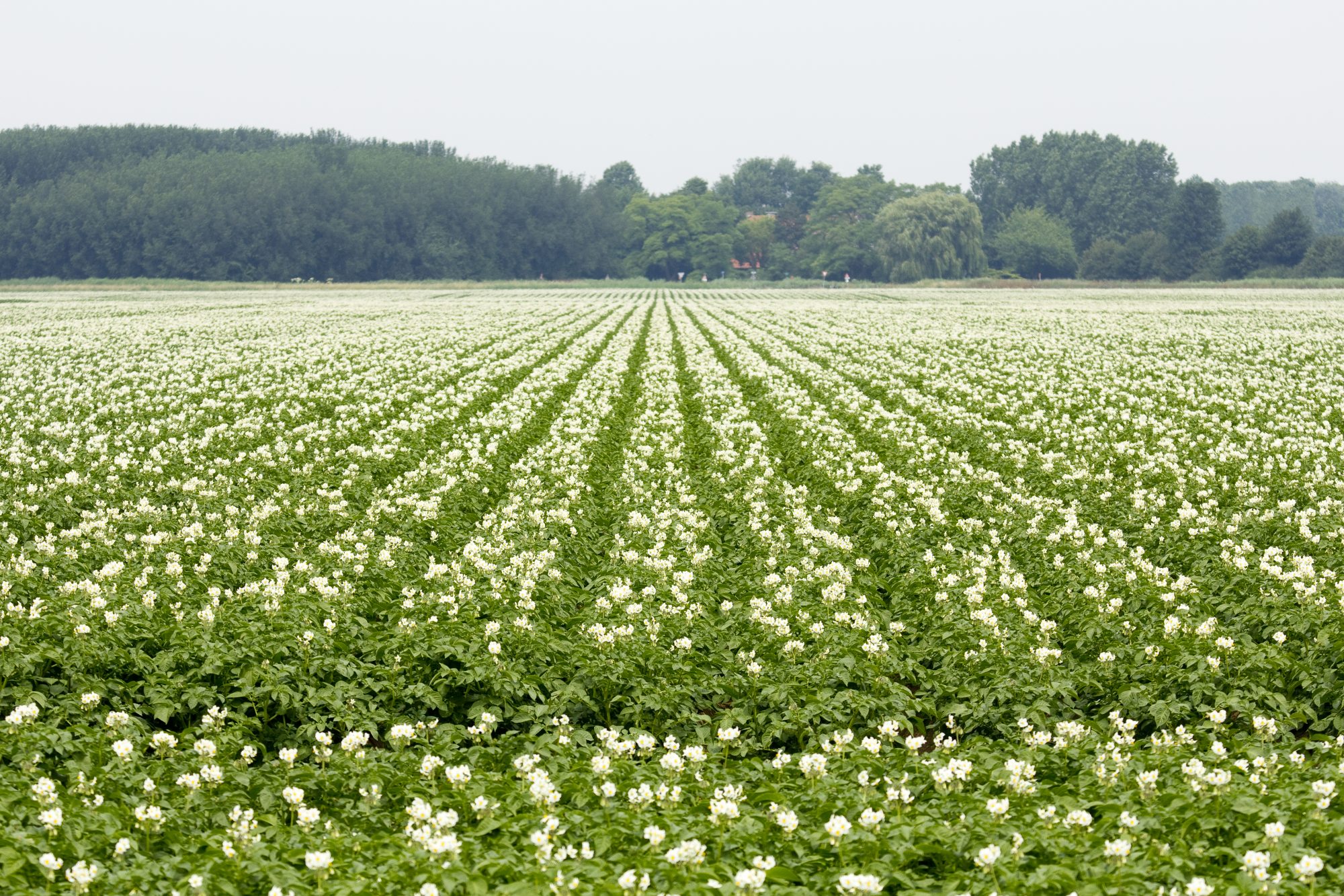 Afbeelding Akkerbouwavond Heinkenszand