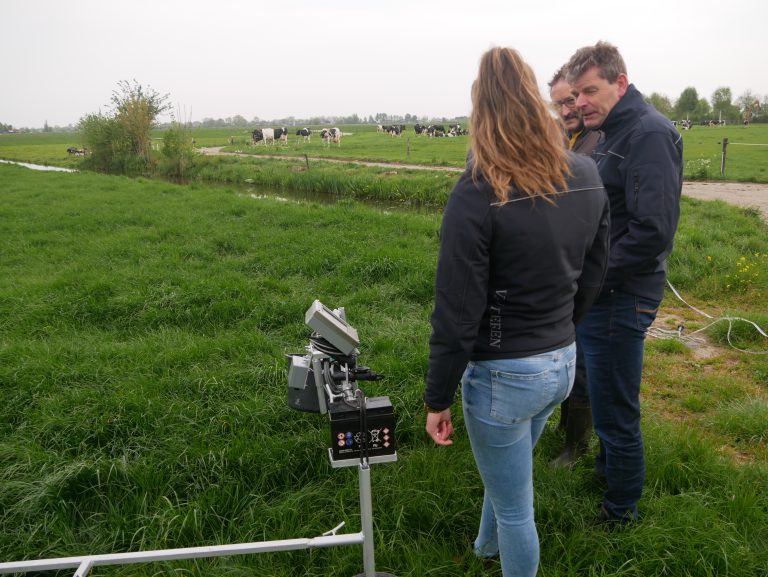 Afbeelding Weidende koe heeft voorkeur voor ureum-meststof