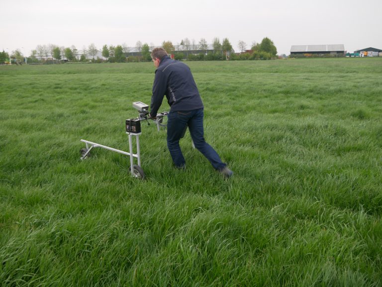 Afbeelding Weidende koe heeft voorkeur voor ureum-meststof