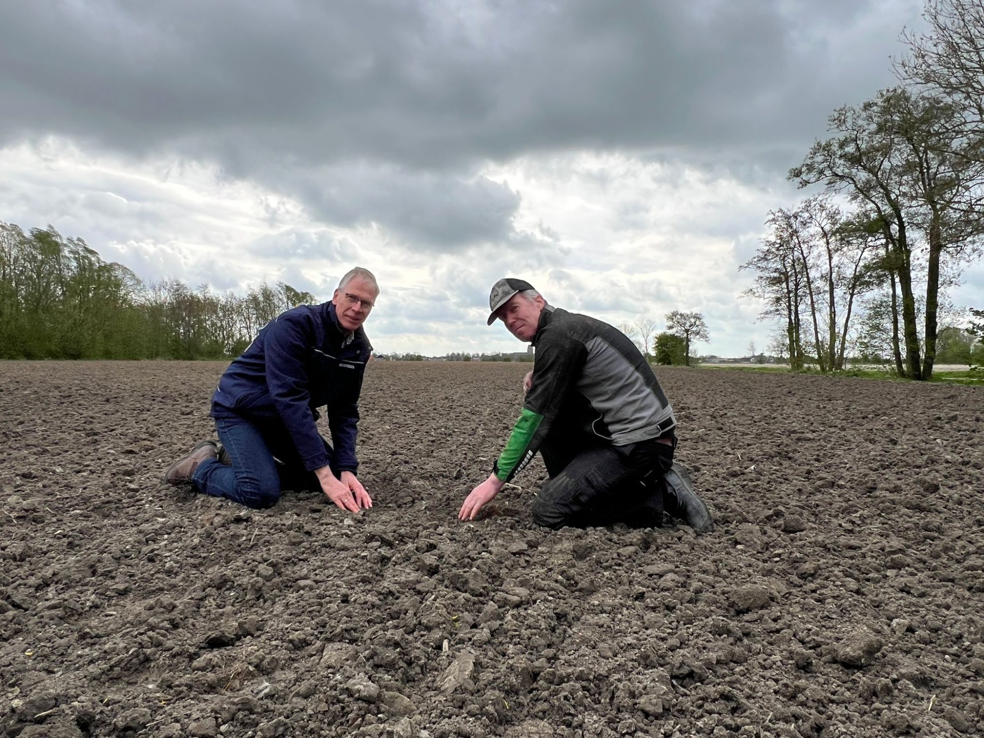 Afbeelding Een krachtig gewas – Kritische groeimomenten