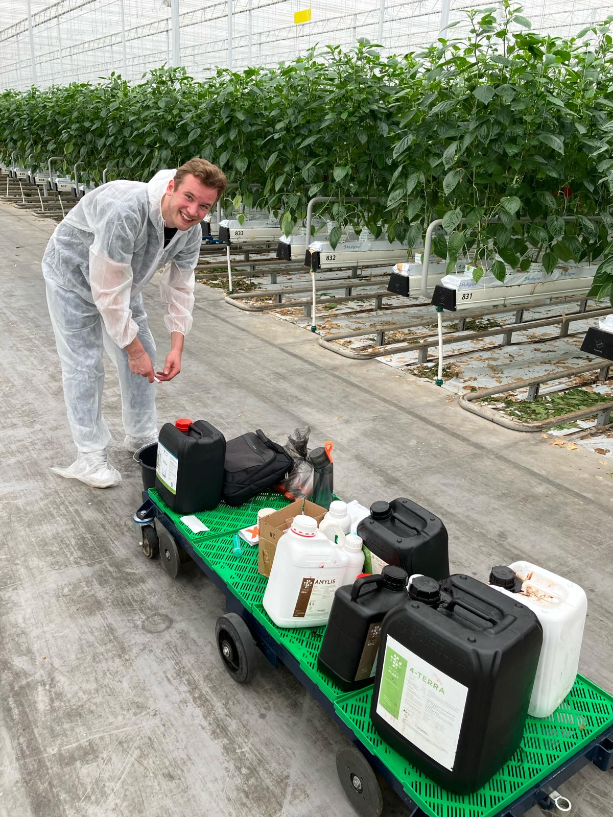 Afbeelding Groeispecialist van de toekomst: afstudeeronderzoek naar biostimulanten in paprika