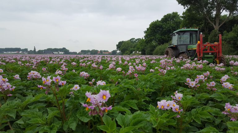 Afbeelding Akkerbouwavond Voorne-Putten