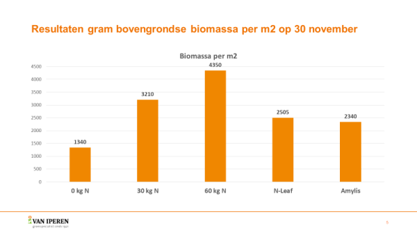 Afbeelding Stikstofruimte tekort voor uw groenbemesters?