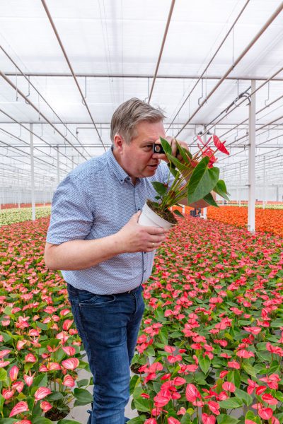 Afbeelding “Je moet je vijand goed kennen”