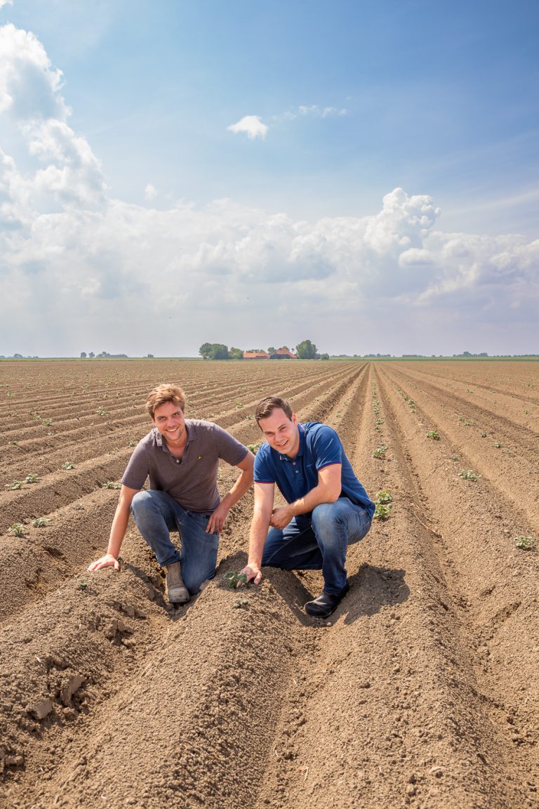 Afbeelding Precisielandbouw in bijzondere polder