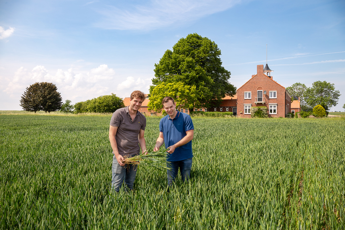 Afbeelding Precisielandbouw in bijzondere polder