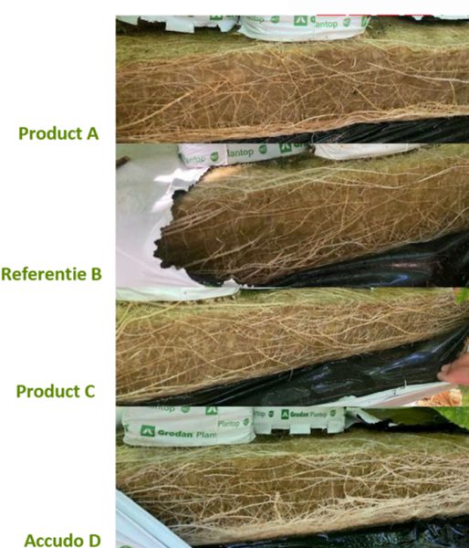 Afbeelding Biostimulanten in groentegewassen