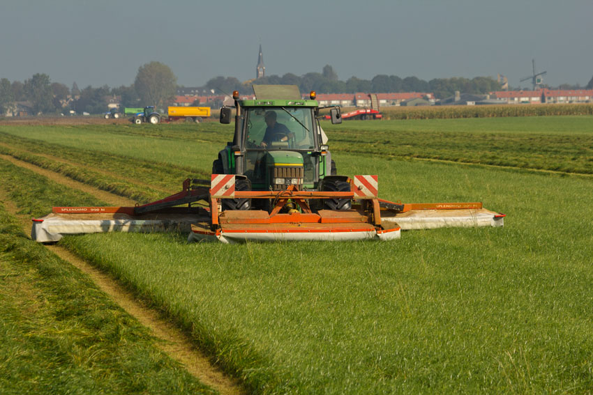 Afbeelding Eiwit van eigen grasland