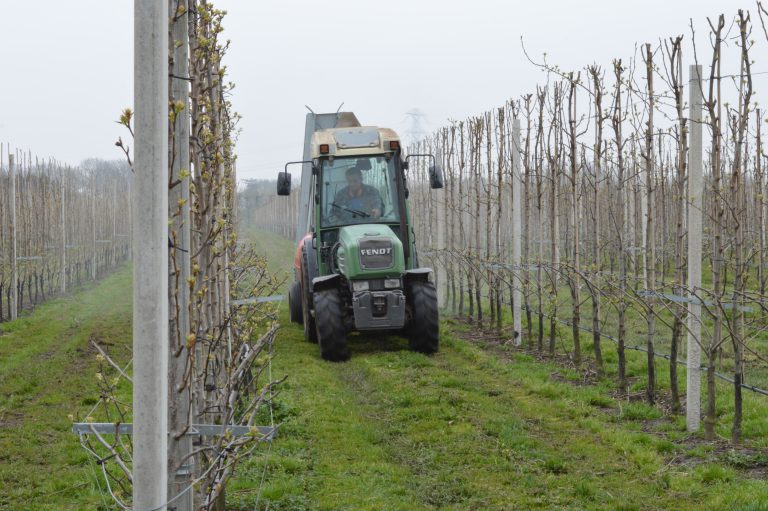 Afbeelding Digitale Fruitgids