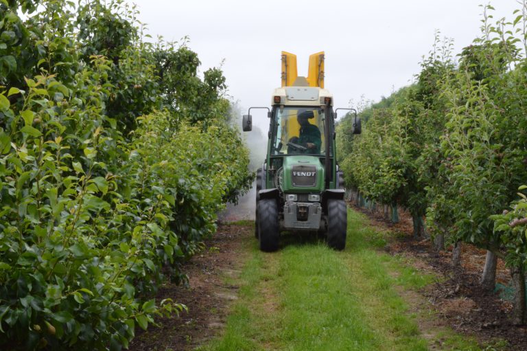 Afbeelding Digitale Fruitgids