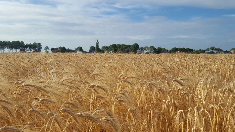 Afbeelding Akkerbouwavond Heinkenszand