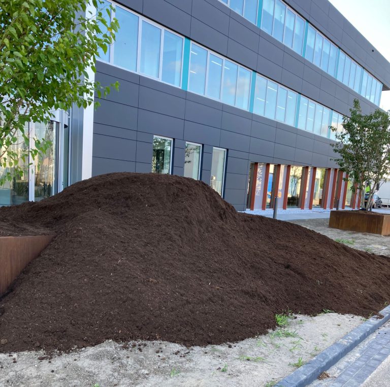 Afbeelding Plantseizoen